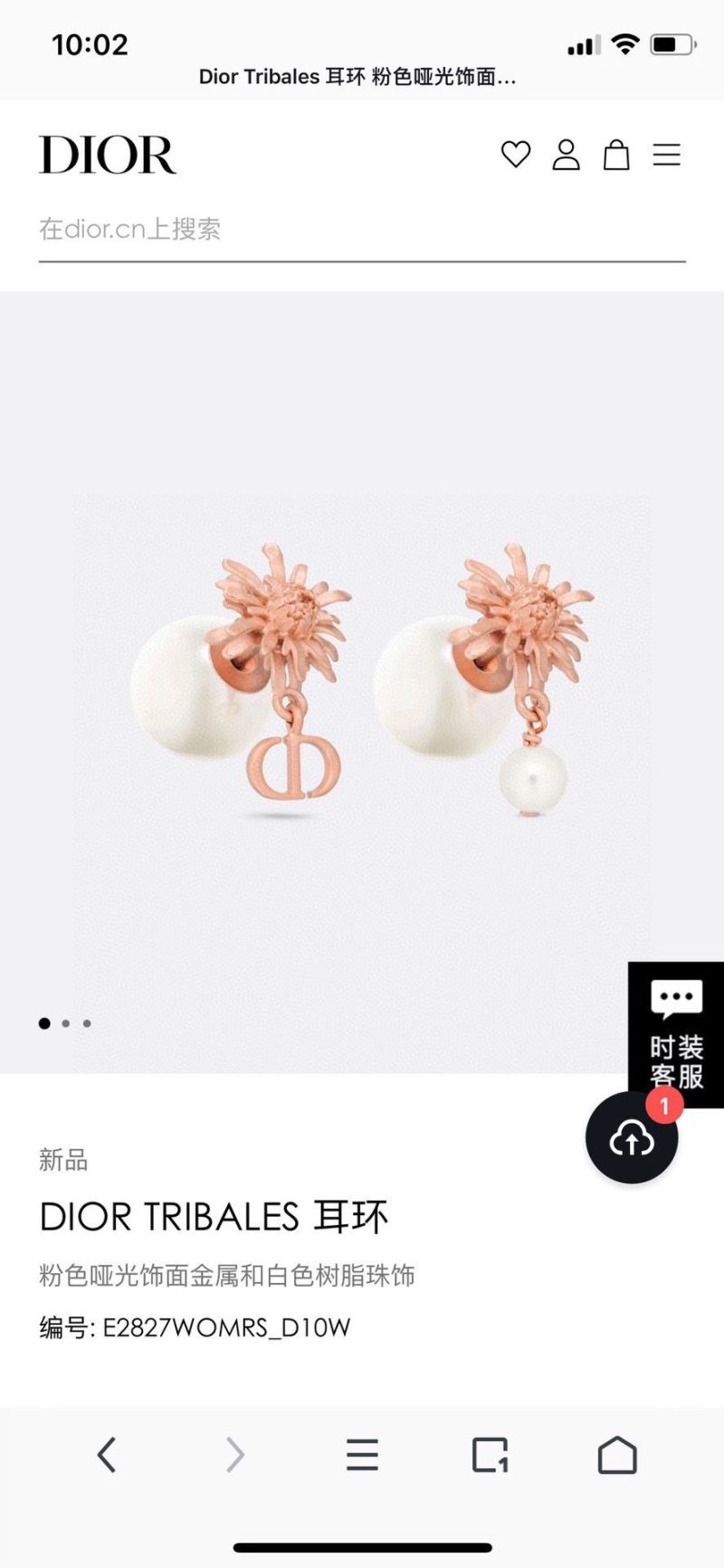 Christian Dior Earrings